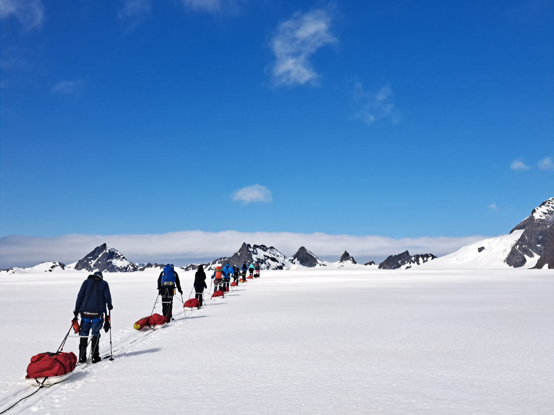 Tracing Shackleton's Legacy: A Modern Journey Across South Georgia's Icy Wilderness